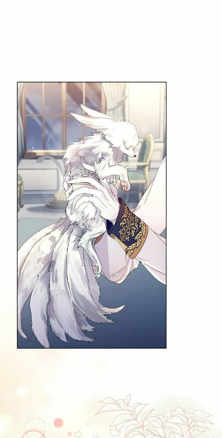 Read I Raised a Nine Tailed Fox Wrongly chapter 2 image 140 on Lezhin
