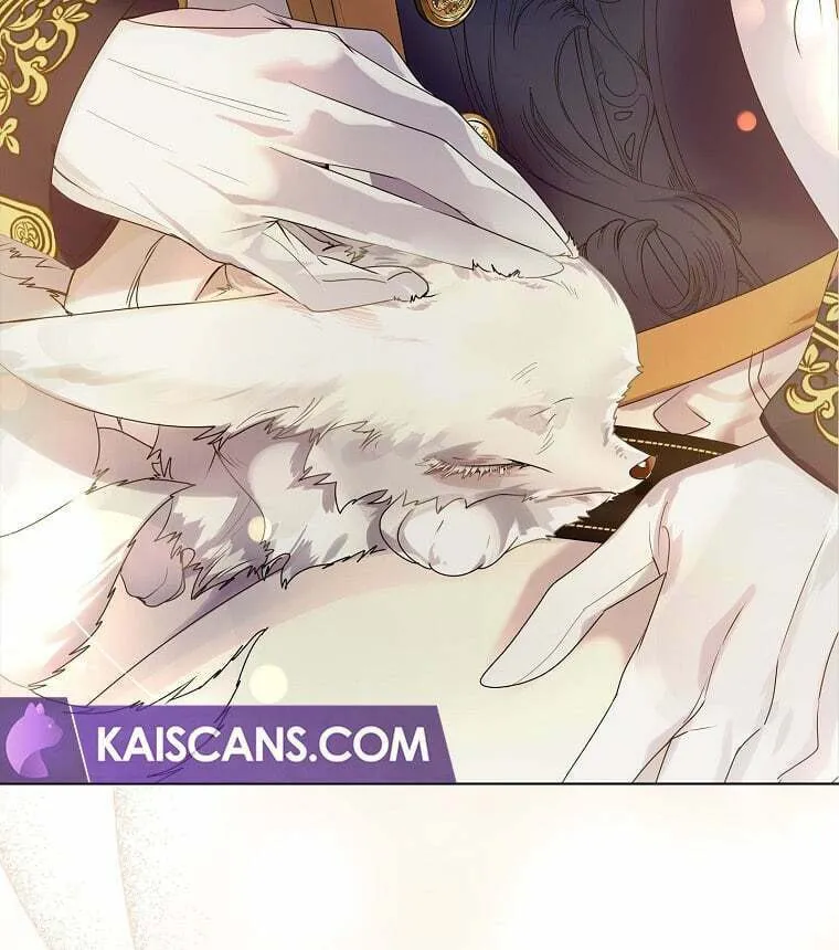 Read I Raised a Nine Tailed Fox Wrongly chapter 2 image 146 on Lezhin