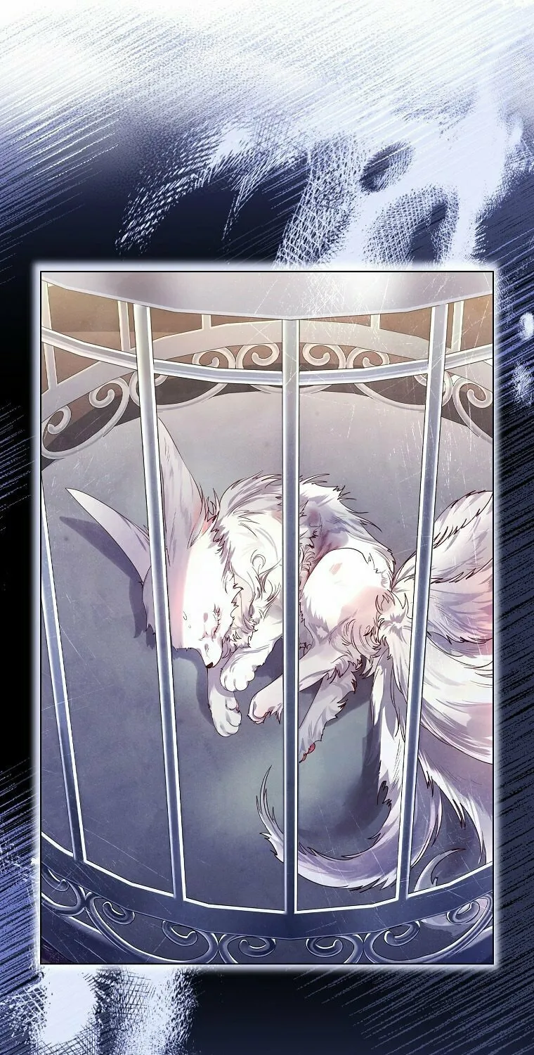 Read I Raised a Nine Tailed Fox Wrongly chapter 2 image 24 on Lezhin