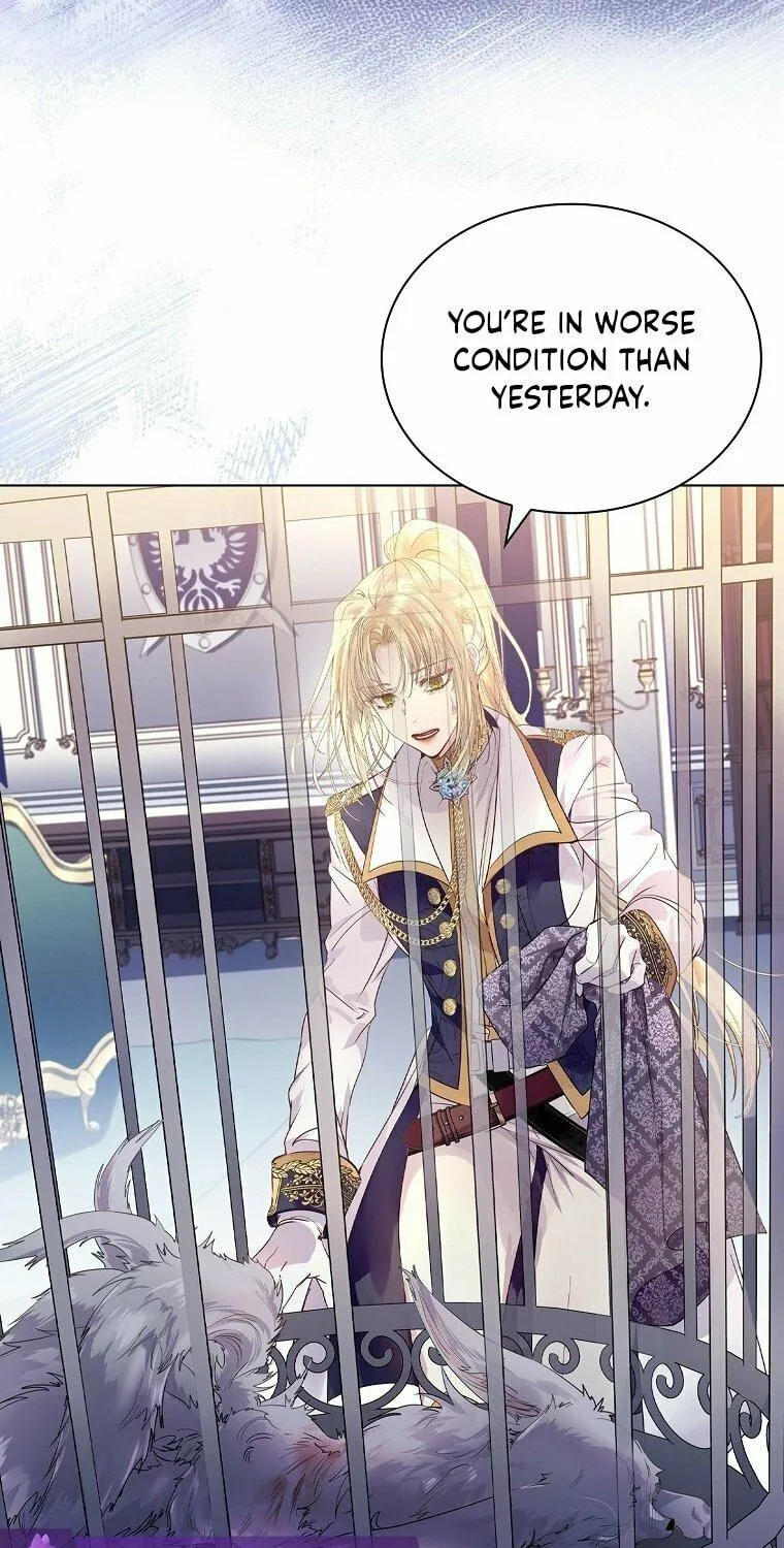 Read I Raised a Nine Tailed Fox Wrongly chapter 2 image 26 on Lezhin