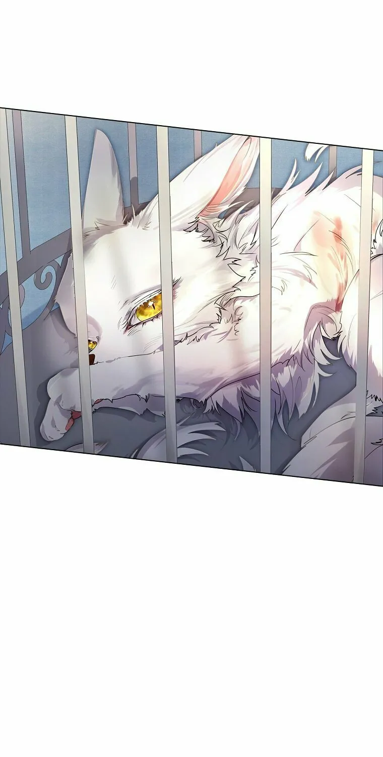 Read I Raised a Nine Tailed Fox Wrongly chapter 2 image 46 on Lezhin