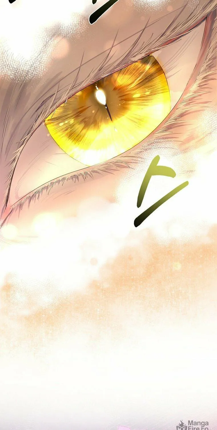 Read I Raised a Nine Tailed Fox Wrongly chapter 2 image 50 on Lezhin