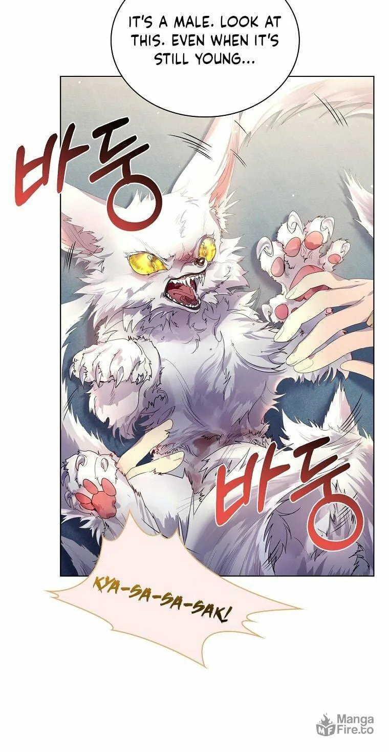 Read I Raised a Nine Tailed Fox Wrongly chapter 2 image 97 on Lezhin