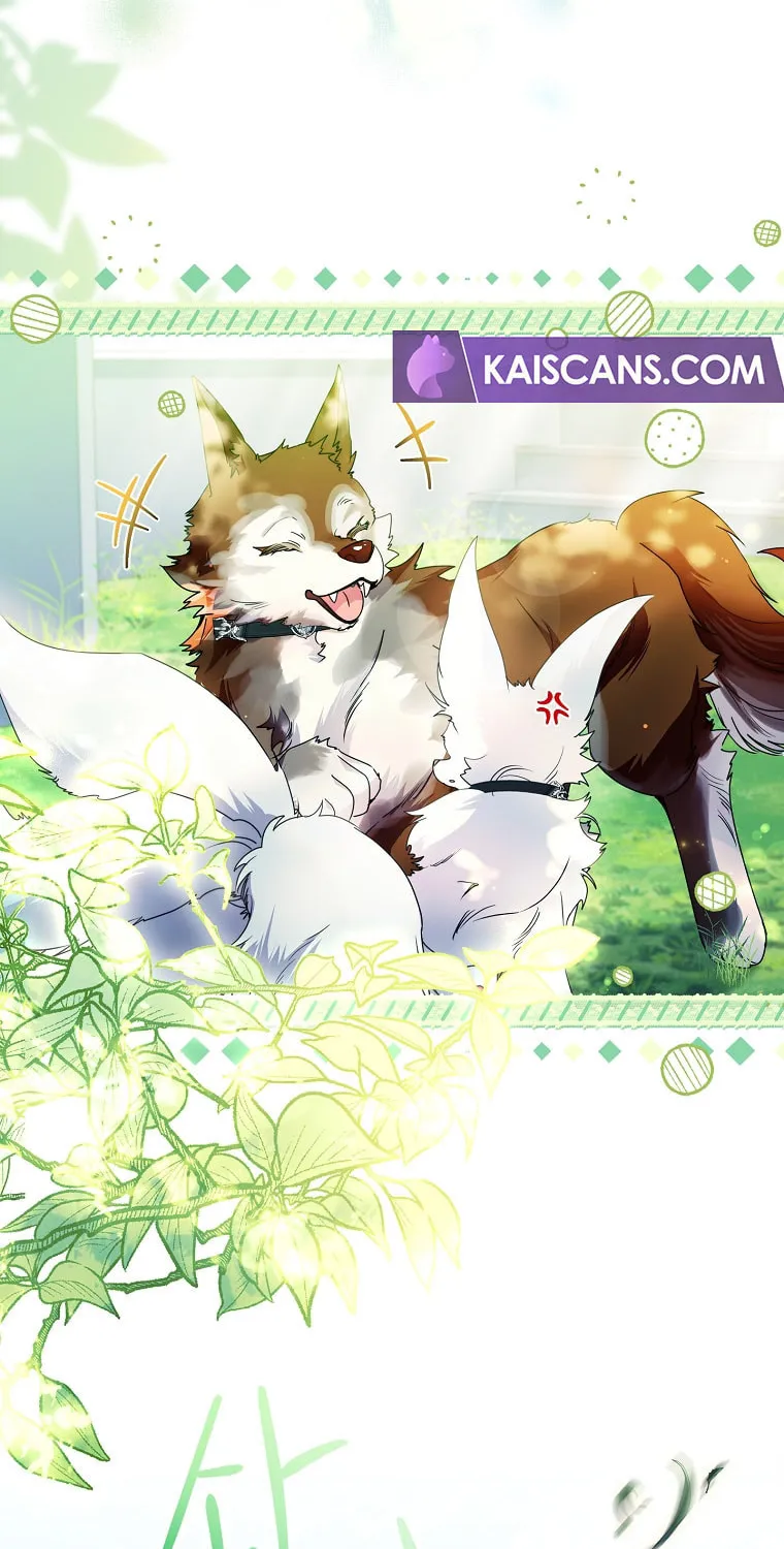 Read I Raised a Nine Tailed Fox Wrongly chapter 21 image 4 on Lezhin