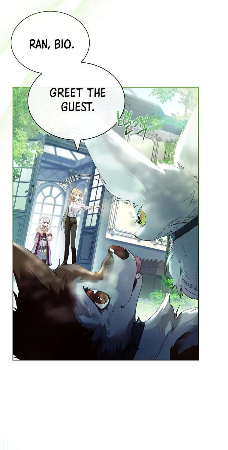 Read I Raised a Nine Tailed Fox Wrongly chapter 21 image 55 on Lezhin