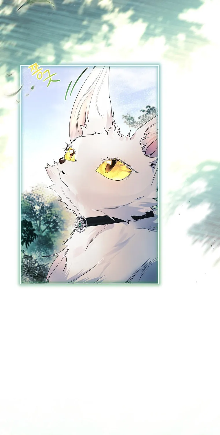 Read I Raised a Nine Tailed Fox Wrongly chapter 21 image 6 on Lezhin