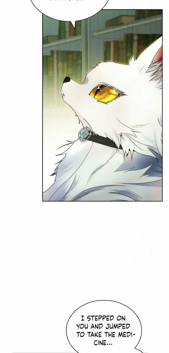 Read I Raised a Nine Tailed Fox Wrongly chapter 23 image 58 on Lezhin