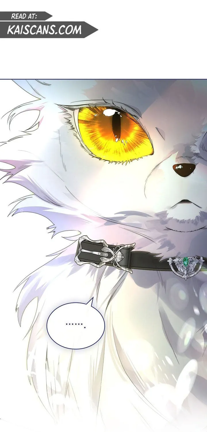 Read I Raised a Nine Tailed Fox Wrongly chapter 23 image 64 on Lezhin