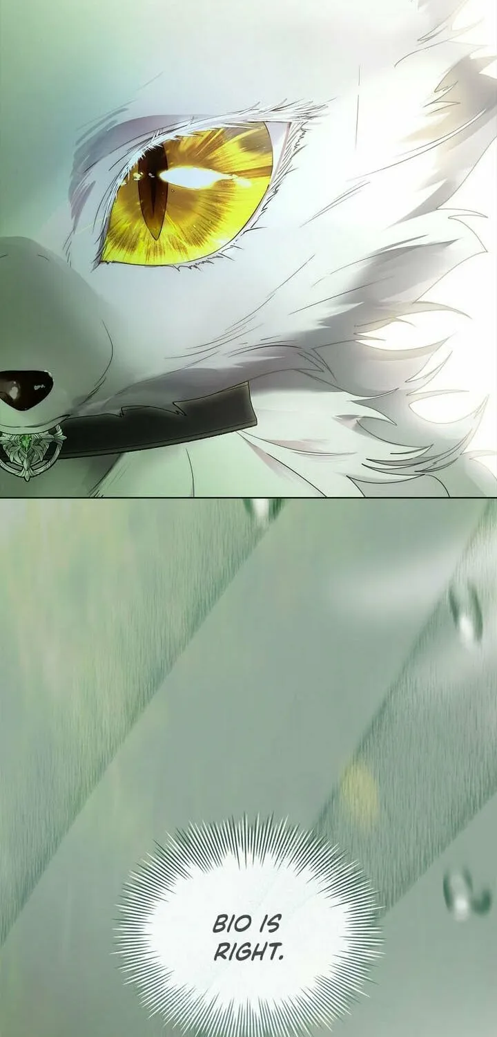 Read I Raised a Nine Tailed Fox Wrongly chapter 23 image 73 on Lezhin