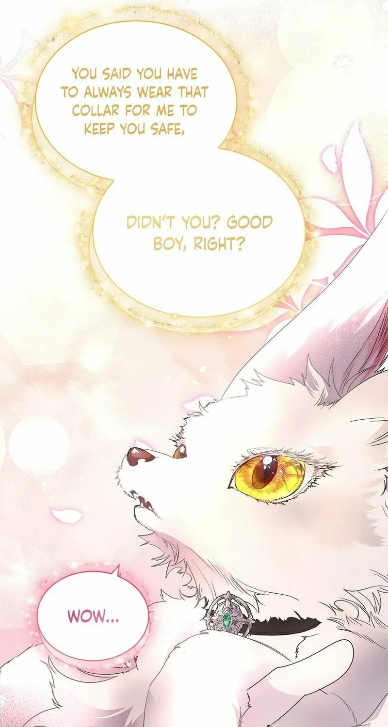 Read I Raised a Nine Tailed Fox Wrongly chapter 27 image 74 on Lezhin