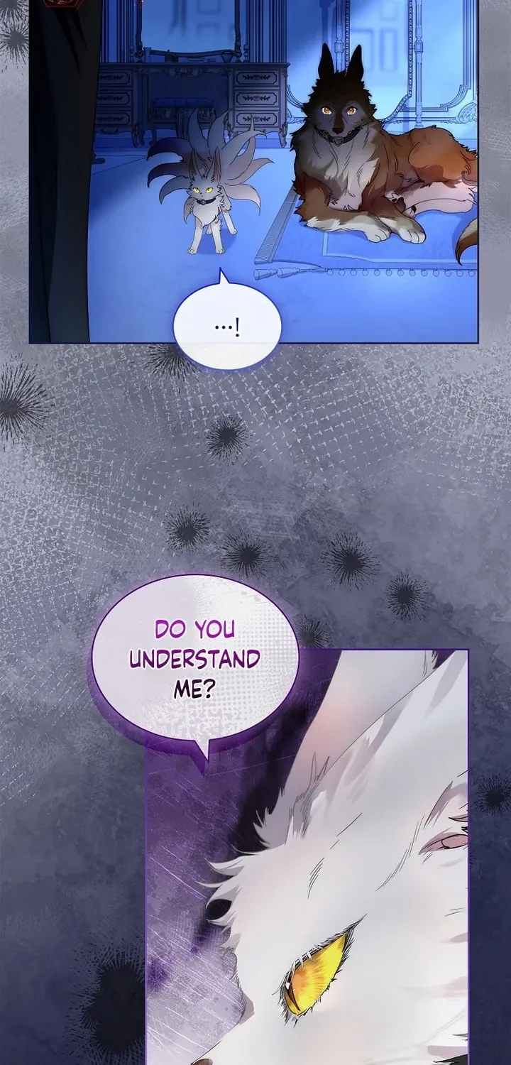 Read I Raised a Nine Tailed Fox Wrongly chapter 29 image 16 on Lezhin