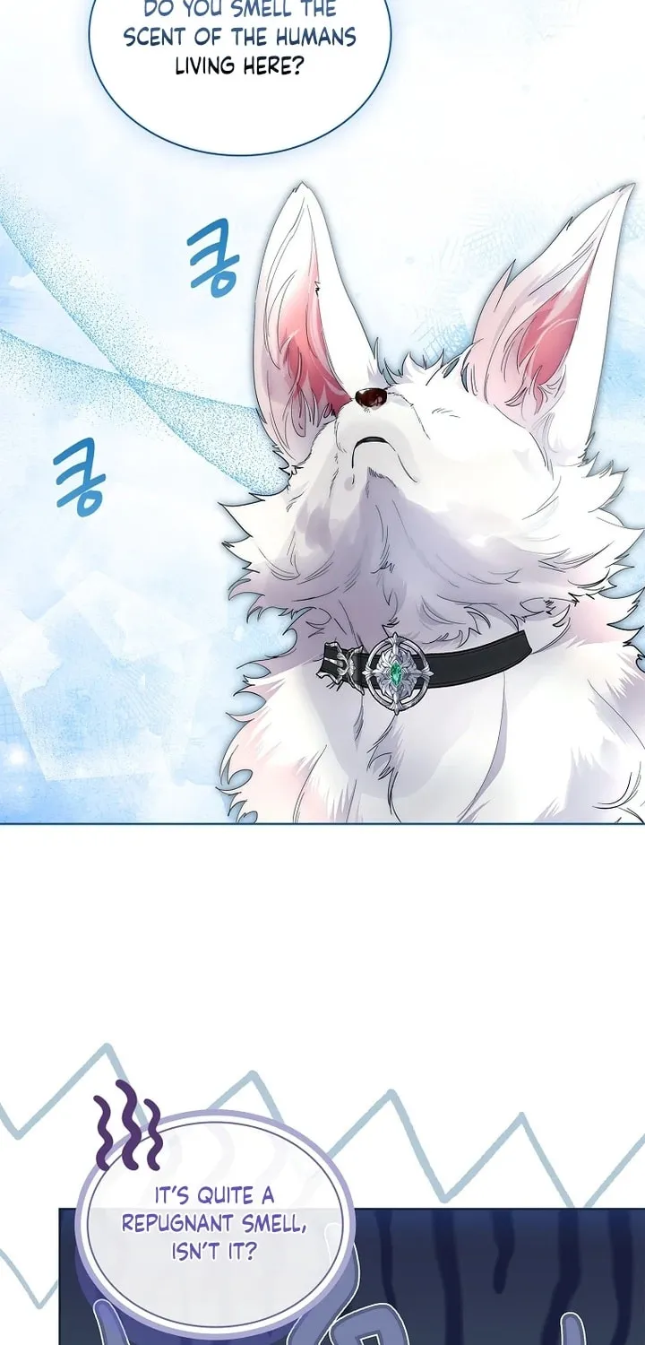 Read I Raised a Nine Tailed Fox Wrongly chapter 29 image 44 on Lezhin