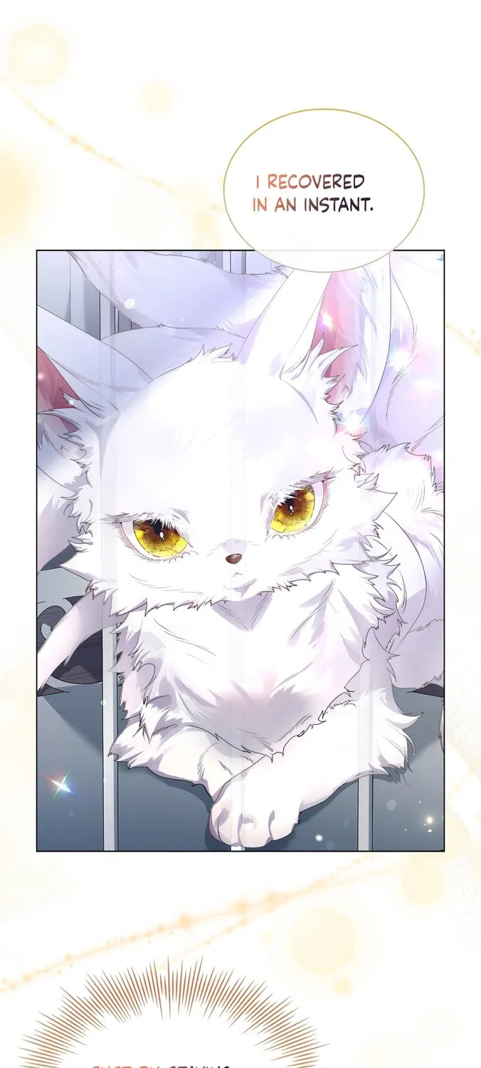 Read I Raised a Nine Tailed Fox Wrongly chapter 3 image 56 on Lezhin