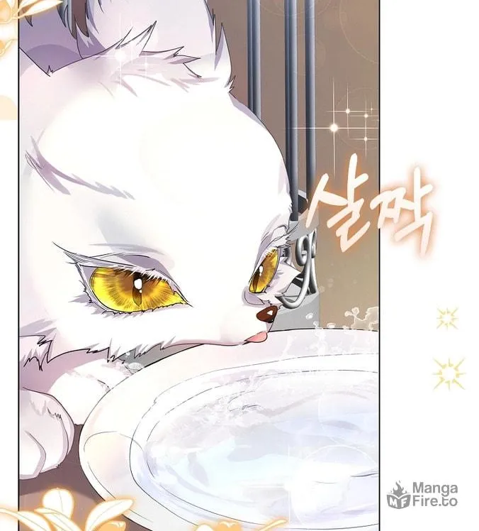 Read I Raised a Nine Tailed Fox Wrongly chapter 3 image 65 on Lezhin