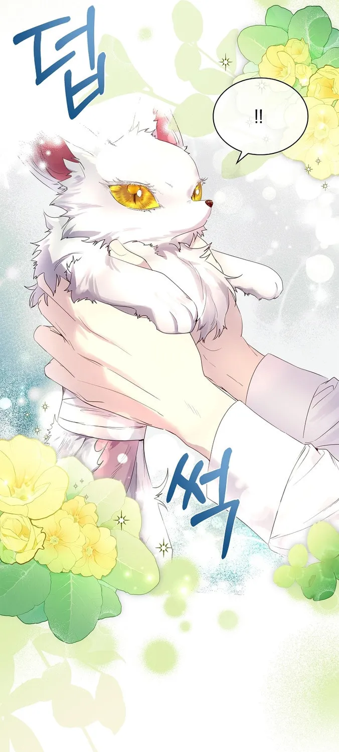 Read I Raised a Nine Tailed Fox Wrongly chapter 3 image 72 on Lezhin