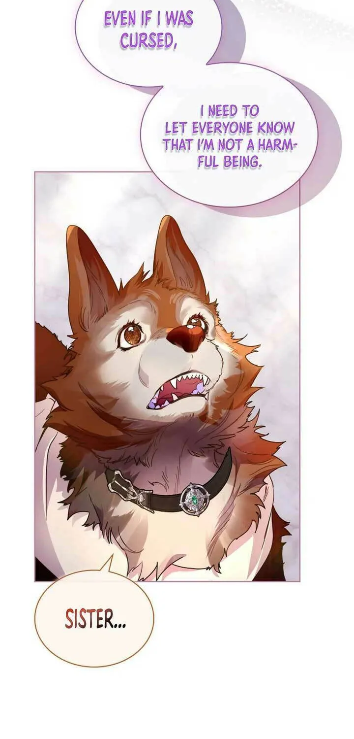 Read I Raised a Nine Tailed Fox Wrongly chapter 31 image 71 on Lezhin