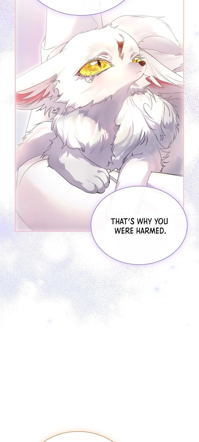 Read I Raised a Nine Tailed Fox Wrongly chapter 5 image 50 on Lezhin