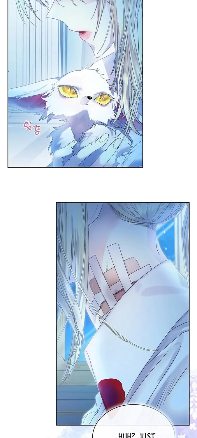 Read I Raised a Nine Tailed Fox Wrongly chapter 5 image 60 on Lezhin