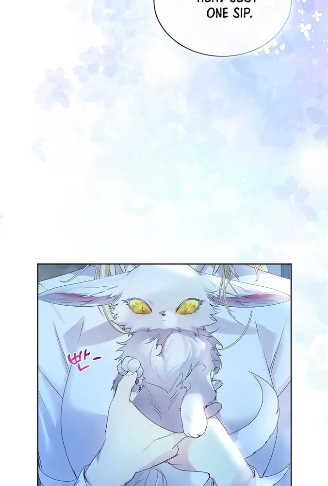 Read I Raised a Nine Tailed Fox Wrongly chapter 5 image 61 on Lezhin