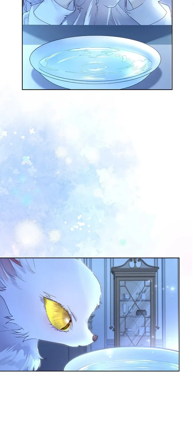 Read I Raised a Nine Tailed Fox Wrongly chapter 5 image 62 on Lezhin