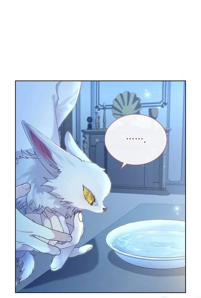 Read I Raised a Nine Tailed Fox Wrongly chapter 5 image 63 on Lezhin