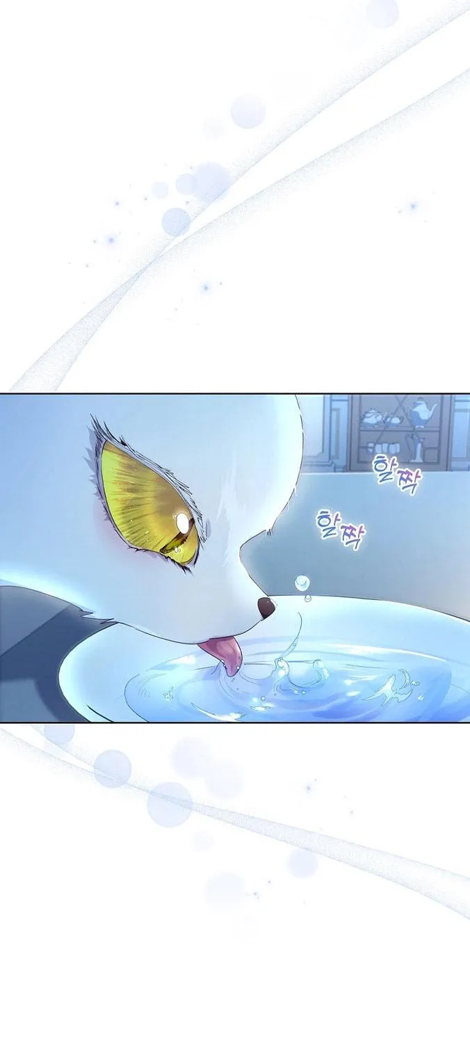 Read I Raised a Nine Tailed Fox Wrongly chapter 5 image 64 on Lezhin
