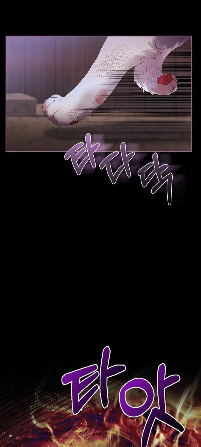Read I Raised a Nine Tailed Fox Wrongly chapter 6 image 38 on Lezhin