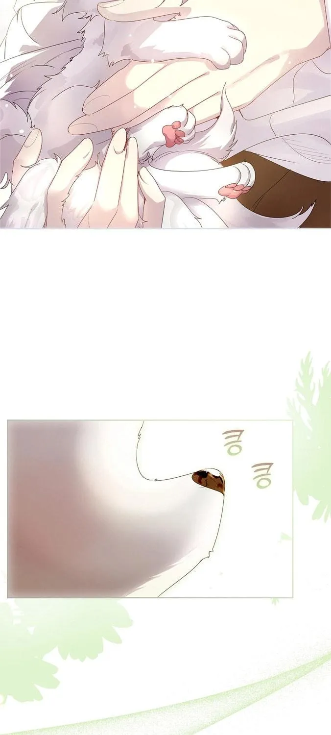 Read I Raised a Nine Tailed Fox Wrongly chapter 6 image 52 on Lezhin