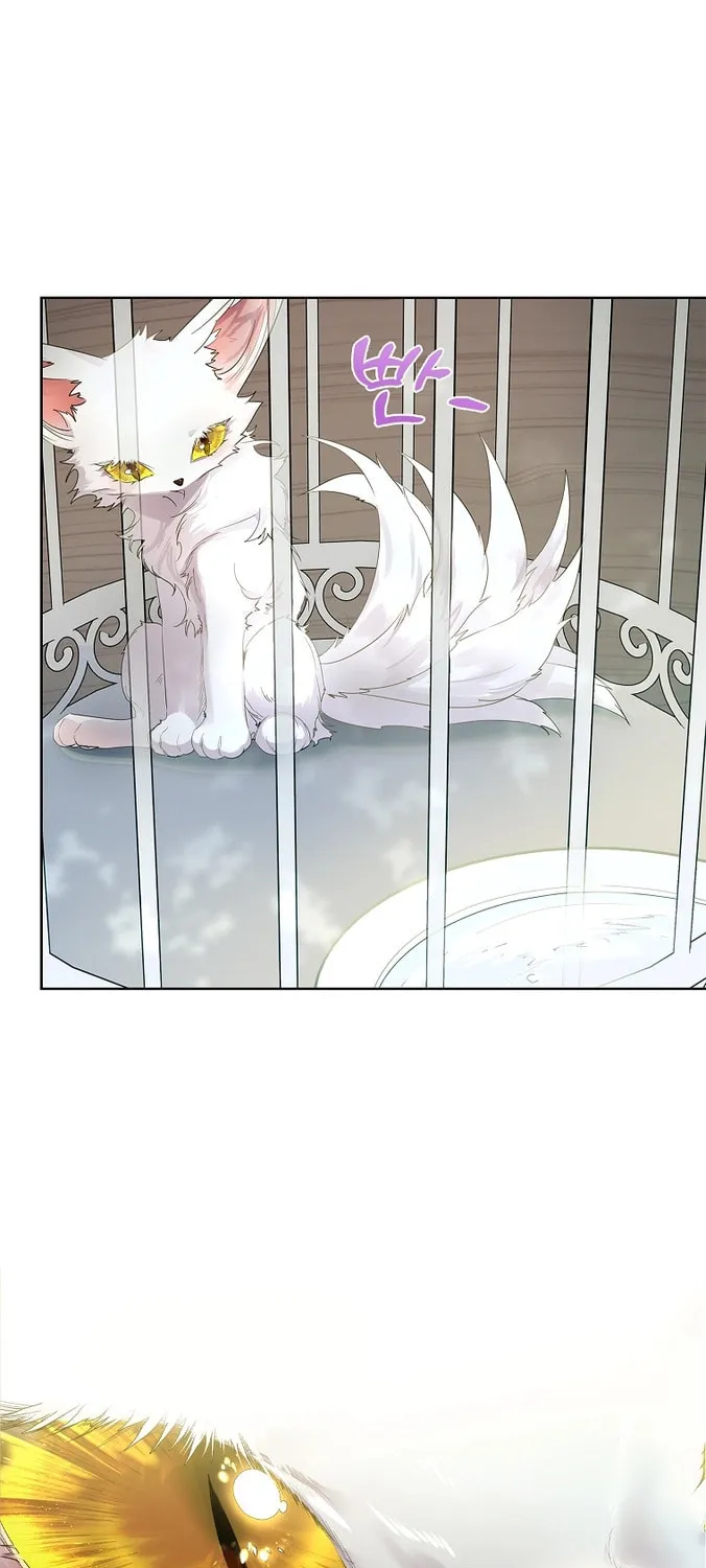 Read I Raised a Nine Tailed Fox Wrongly chapter 6 image 6 on Lezhin