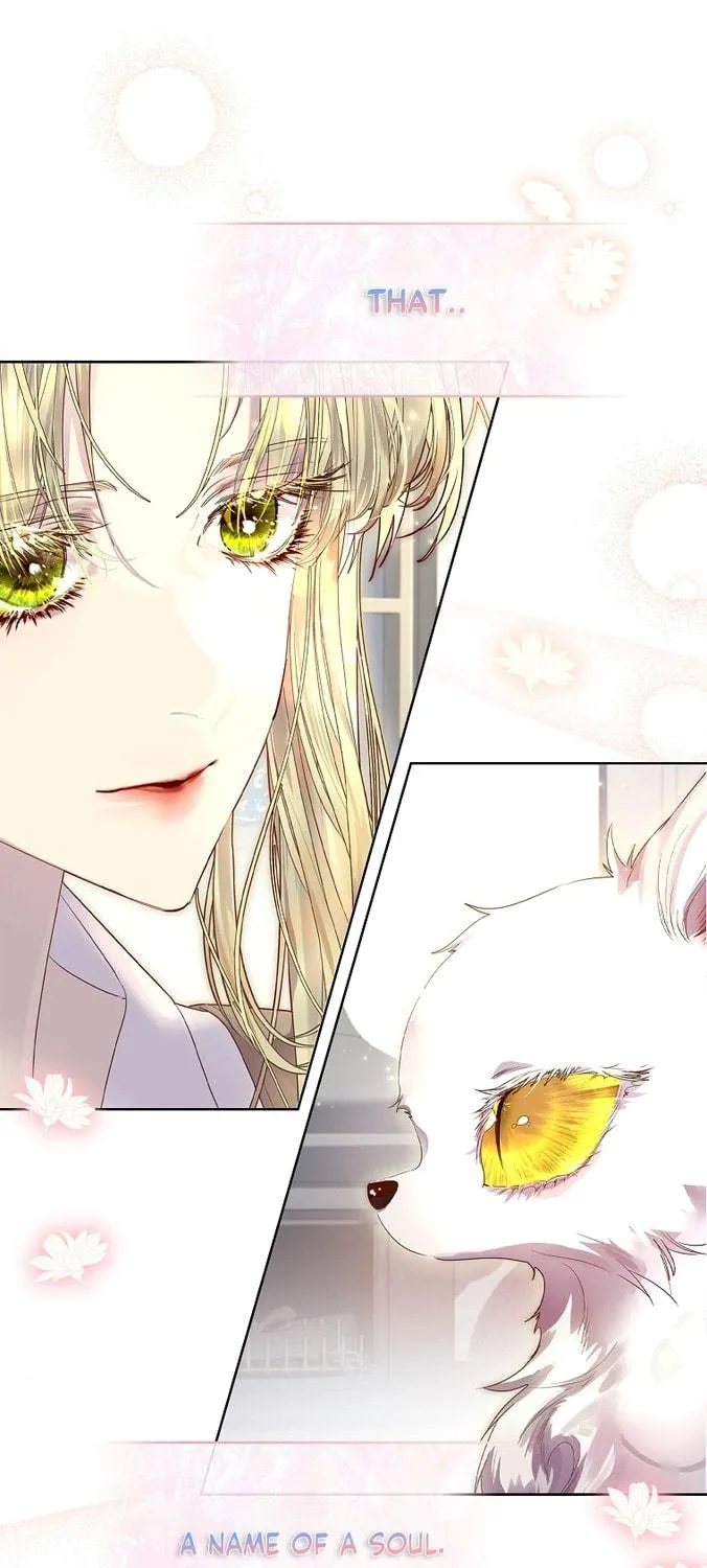 Read I Raised a Nine Tailed Fox Wrongly chapter 6 image 70 on Lezhin