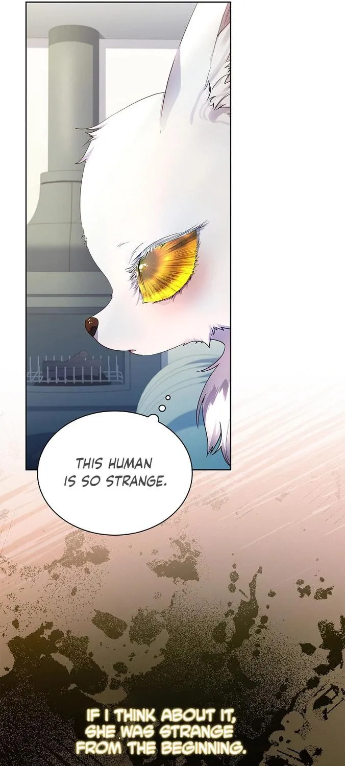 Read I Raised a Nine Tailed Fox Wrongly chapter 7 image 16 on Lezhin