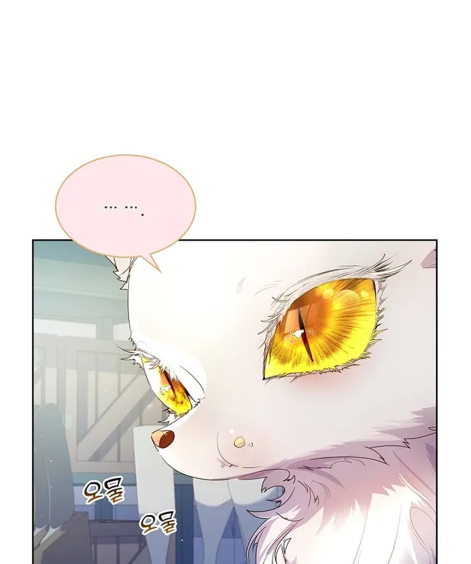 Read I Raised a Nine Tailed Fox Wrongly chapter 7 image 25 on Lezhin