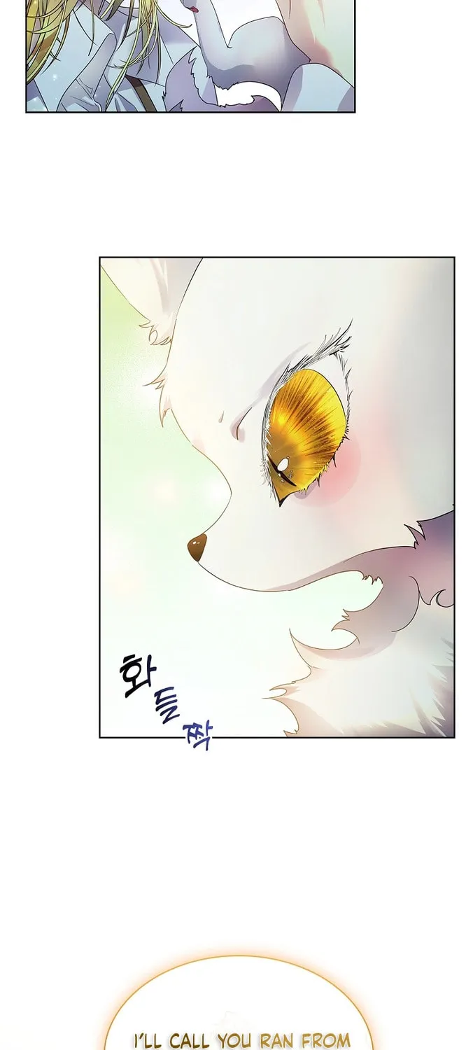 Read I Raised a Nine Tailed Fox Wrongly chapter 7 image 36 on Lezhin