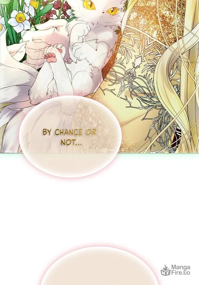 Read I Raised a Nine Tailed Fox Wrongly chapter 7 image 5 on Lezhin