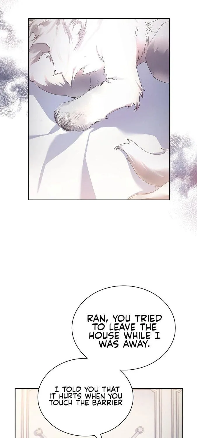 Read I Raised a Nine Tailed Fox Wrongly chapter 8 image 28 on Lezhin