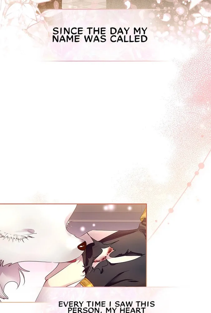 Read I Raised a Nine Tailed Fox Wrongly chapter 8 image 37 on Lezhin