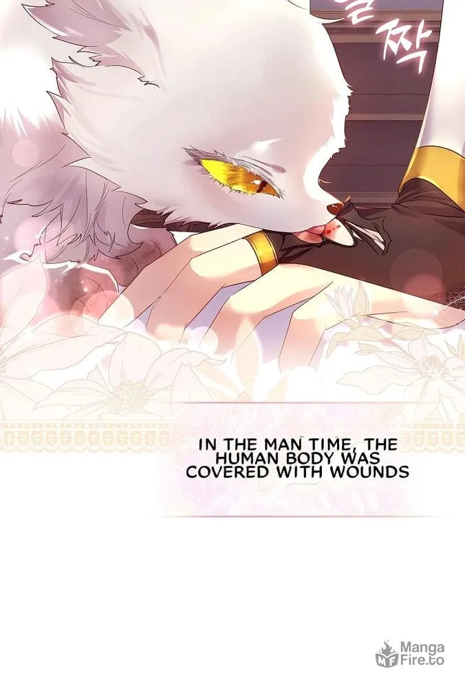 Read I Raised a Nine Tailed Fox Wrongly chapter 8 image 39 on Lezhin