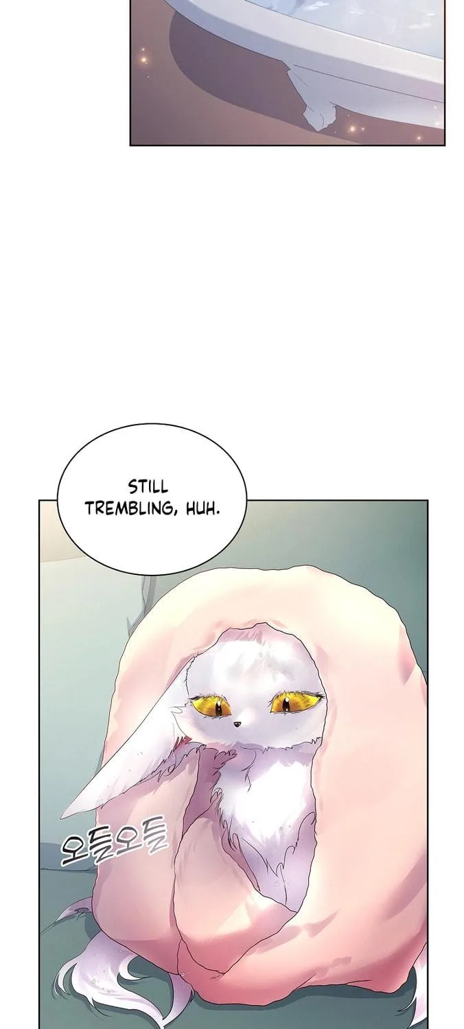 Read I Raised a Nine Tailed Fox Wrongly chapter 9 image 28 on Lezhin