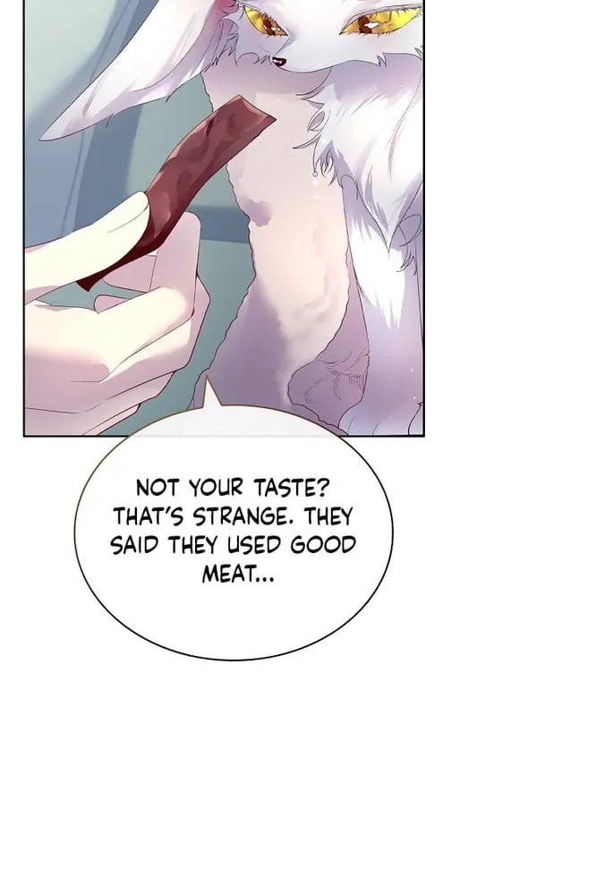 Read I Raised a Nine Tailed Fox Wrongly chapter 9 image 45 on Lezhin