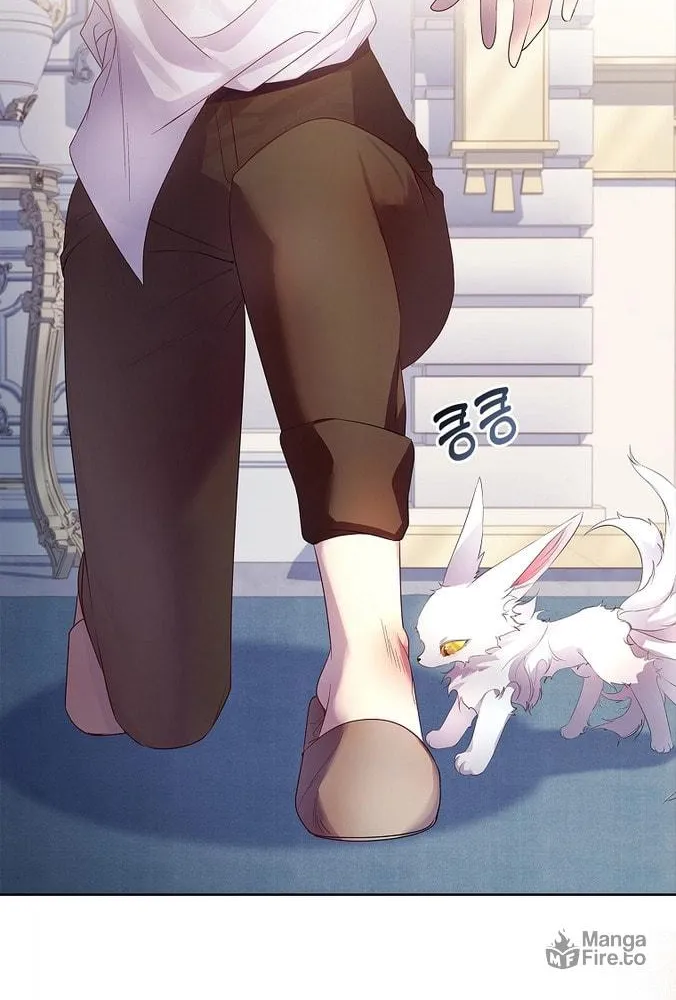 Read I Raised a Nine Tailed Fox Wrongly chapter 9 image 47 on Lezhin