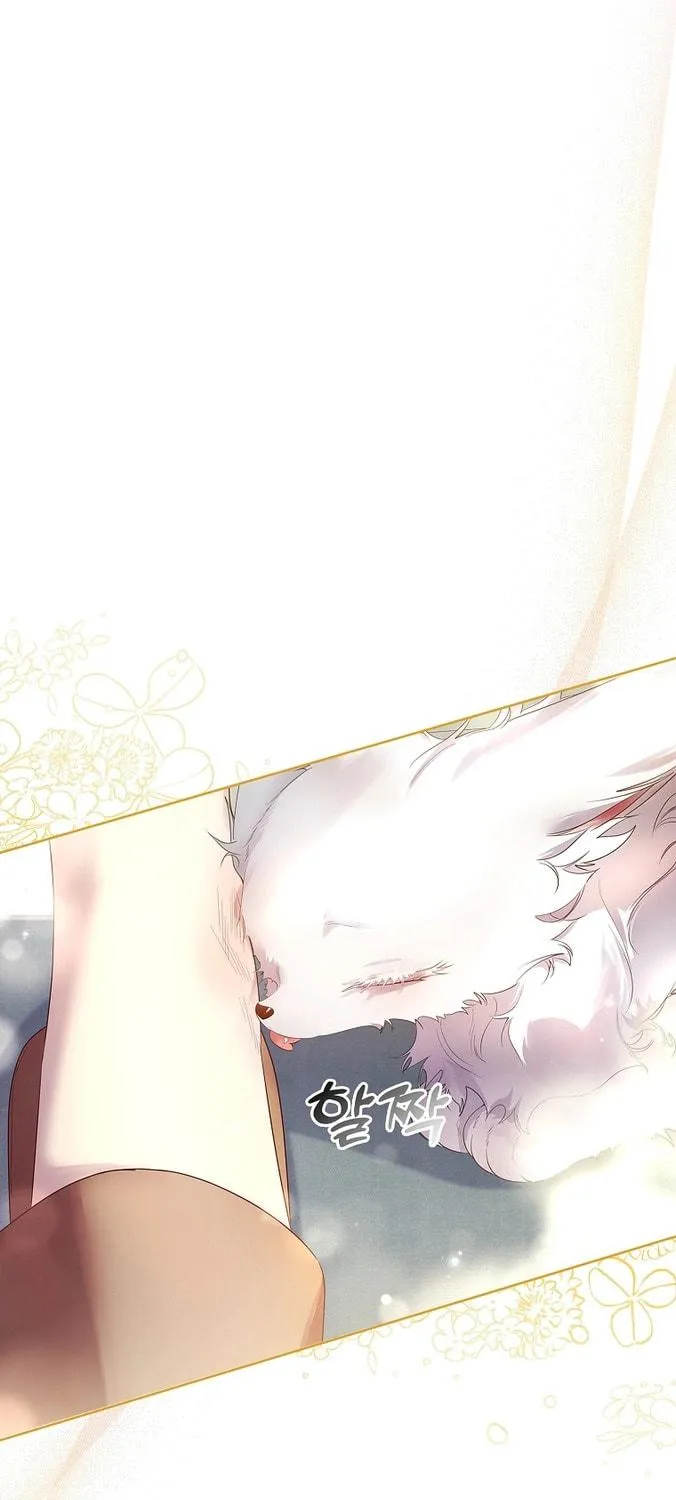 Read I Raised a Nine Tailed Fox Wrongly chapter 9 image 48 on Lezhin