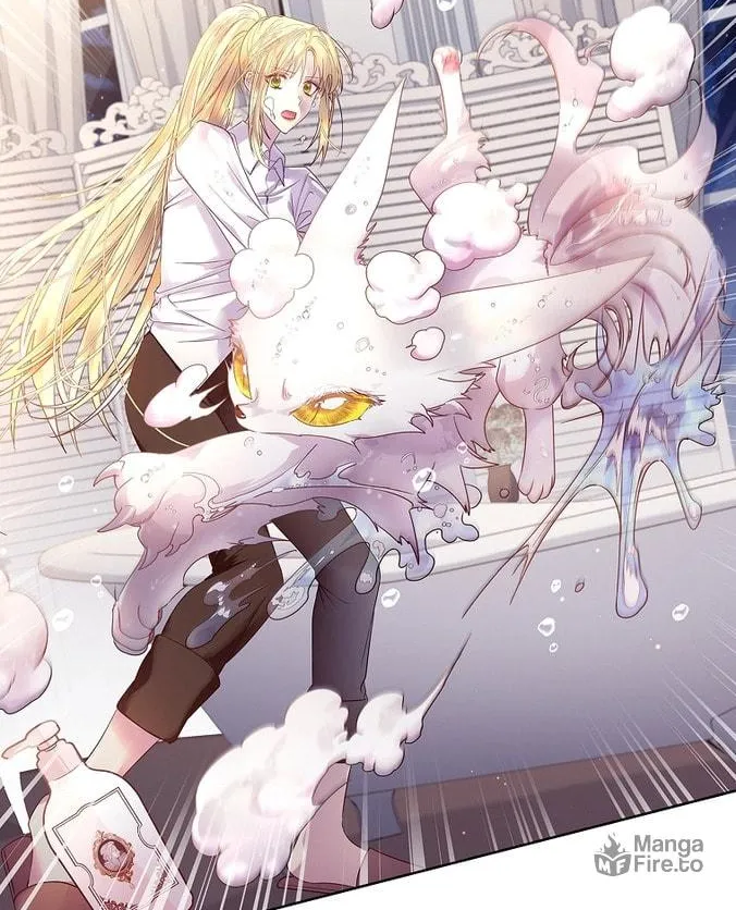 Read I Raised a Nine Tailed Fox Wrongly chapter 9 image 9 on Lezhin