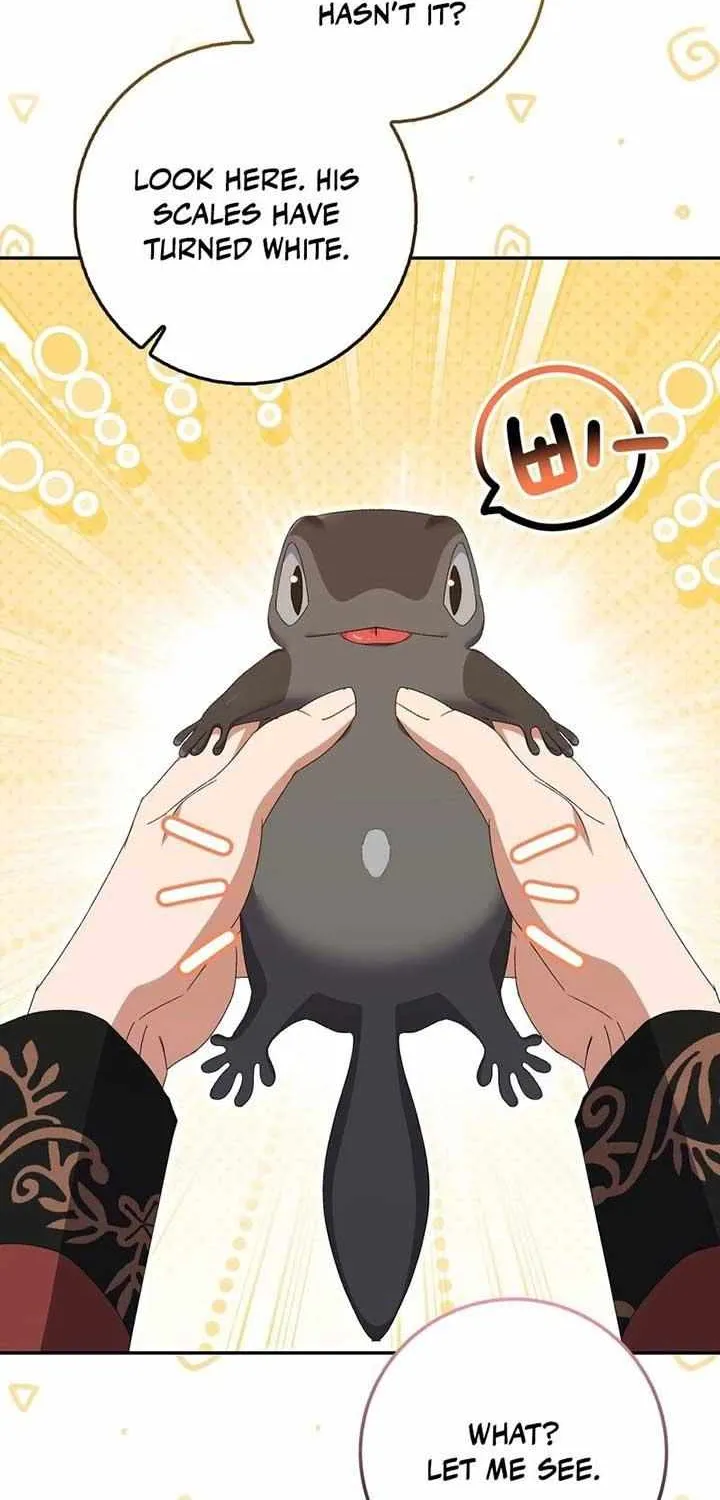 Read I Raised My Husband Wrong chapter 33 image 79 on Lezhin