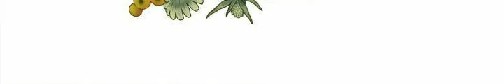 Read I Shall Kill That Sweet Devil chapter 152 image 28 on Lezhin