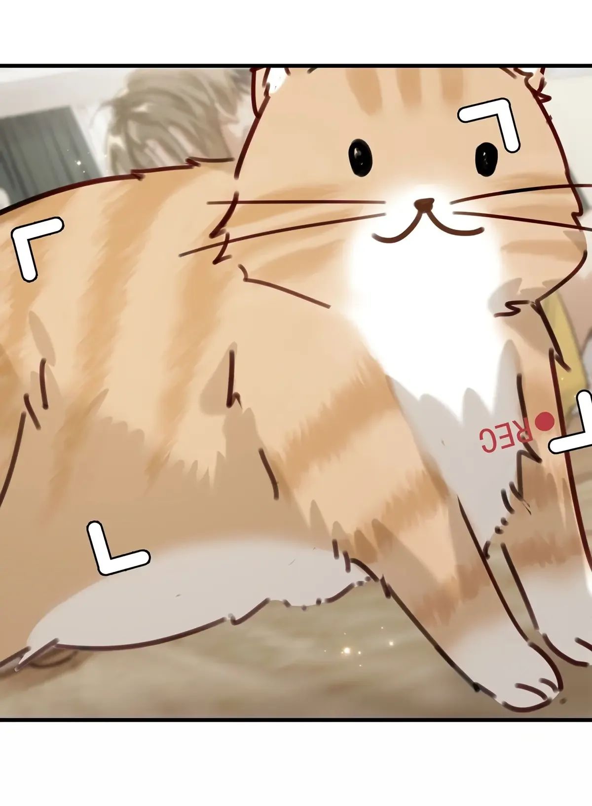 Read I Ship My Rival x Me chapter 46.1 image 37 on Lezhin