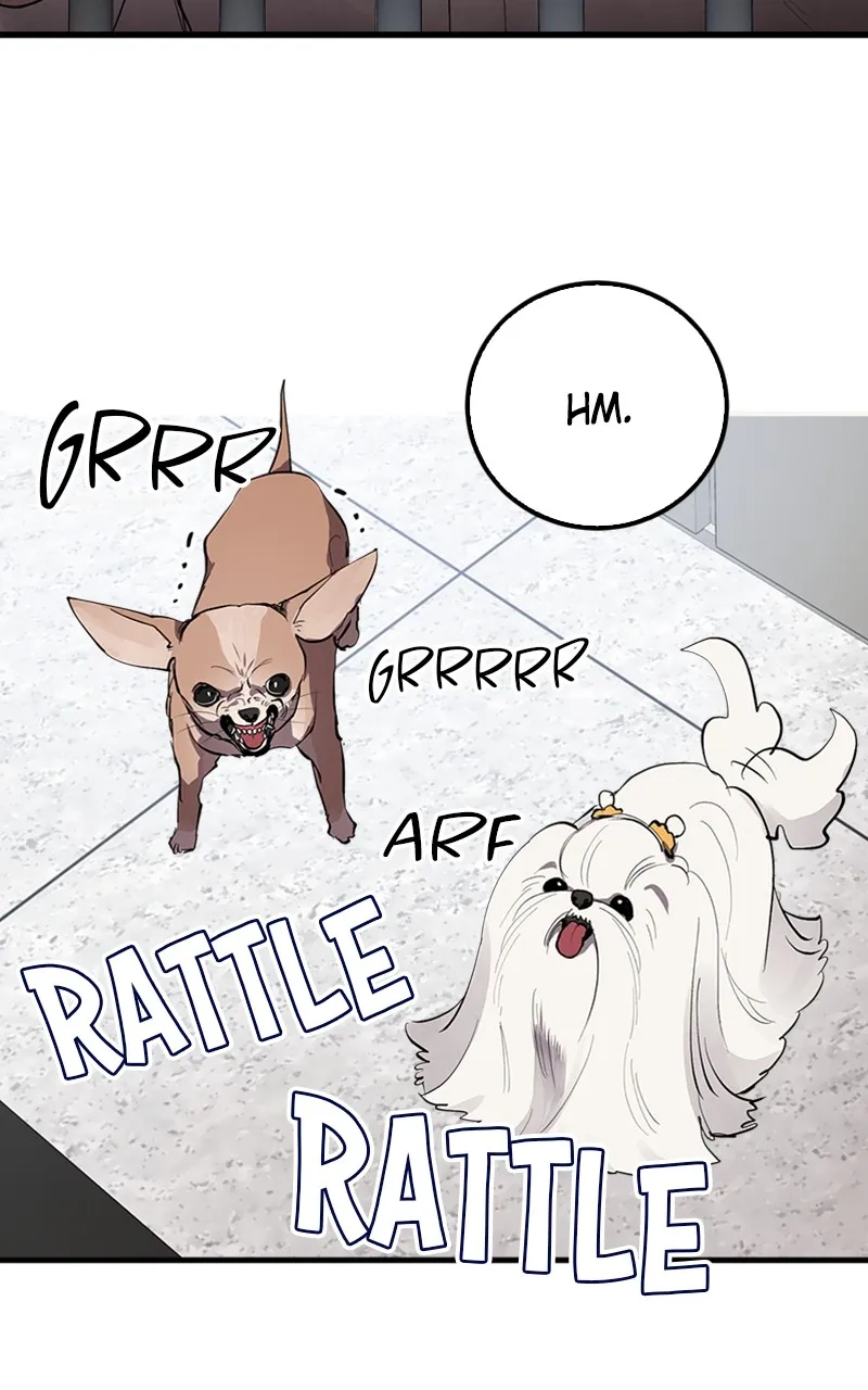 Read I Spy a Married Life chapter 3 image 4 on Lezhin