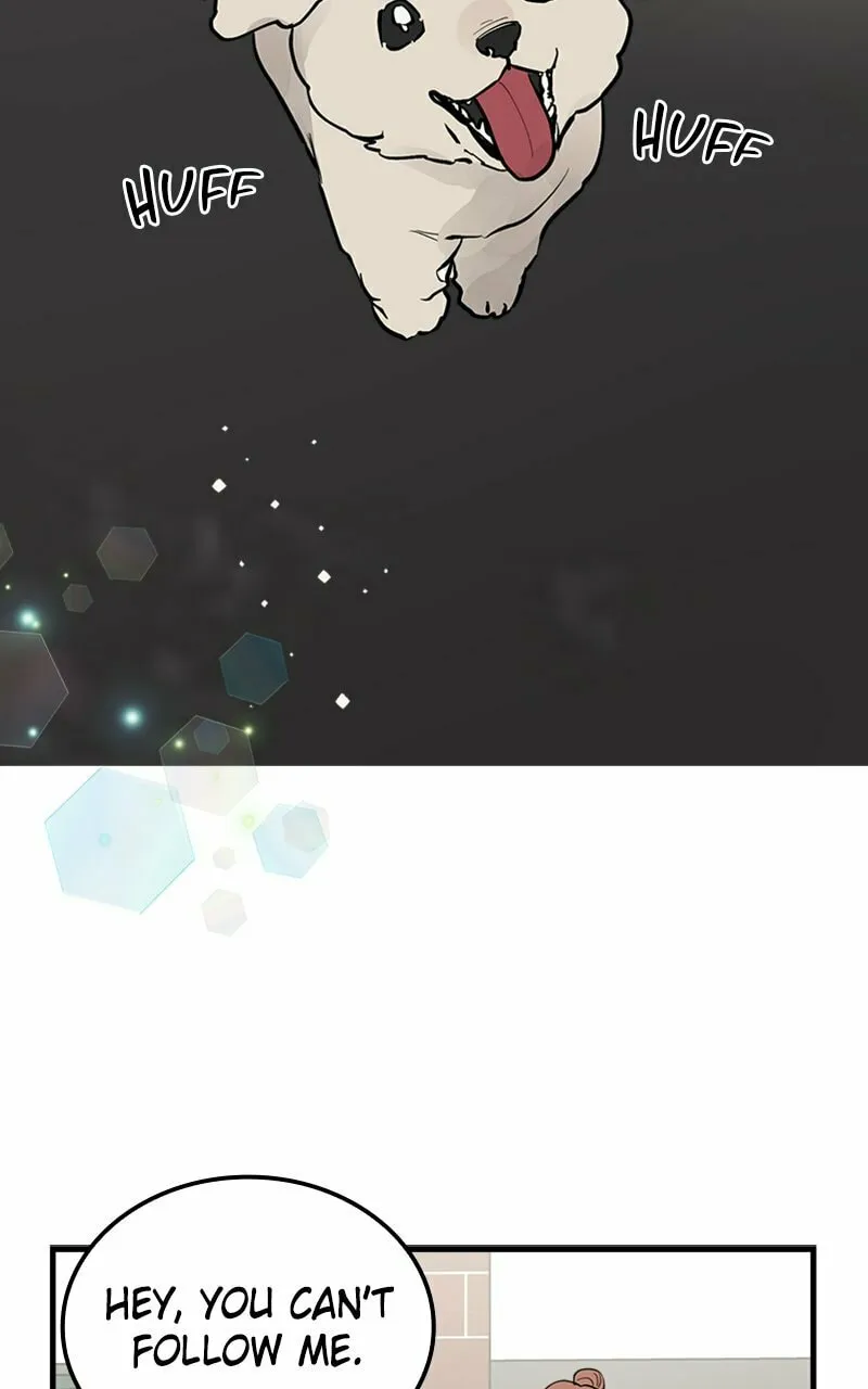 I Spy a Married Life Chapter 59 page 2 - 