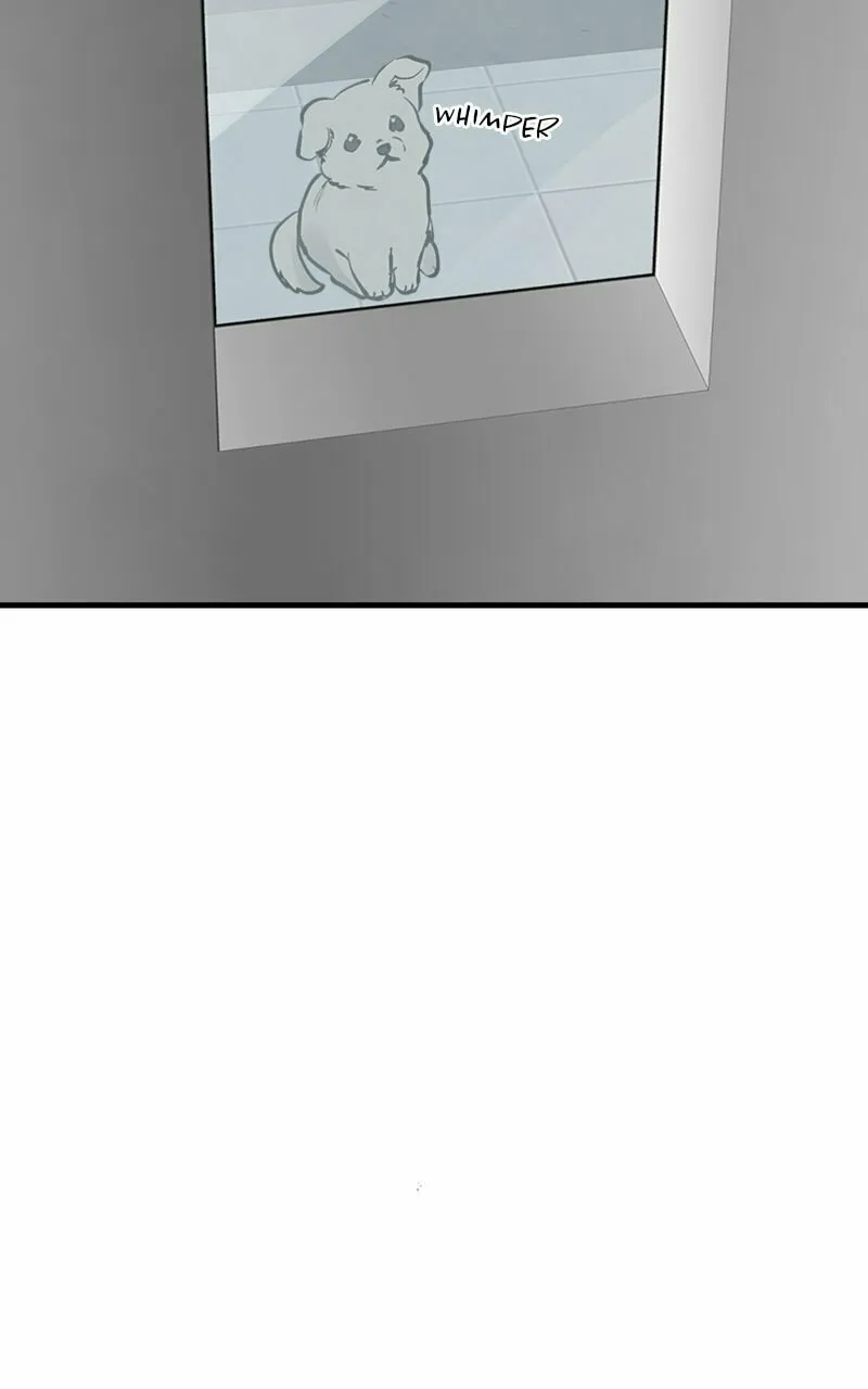 I Spy a Married Life Chapter 59 page 11 - 