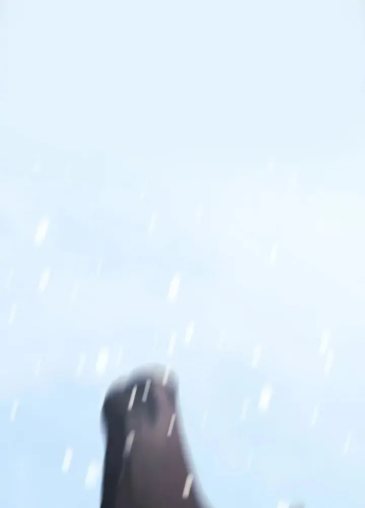I Tamed My Ex-Husband's Mad Dog Chapter 14 page 45 - 