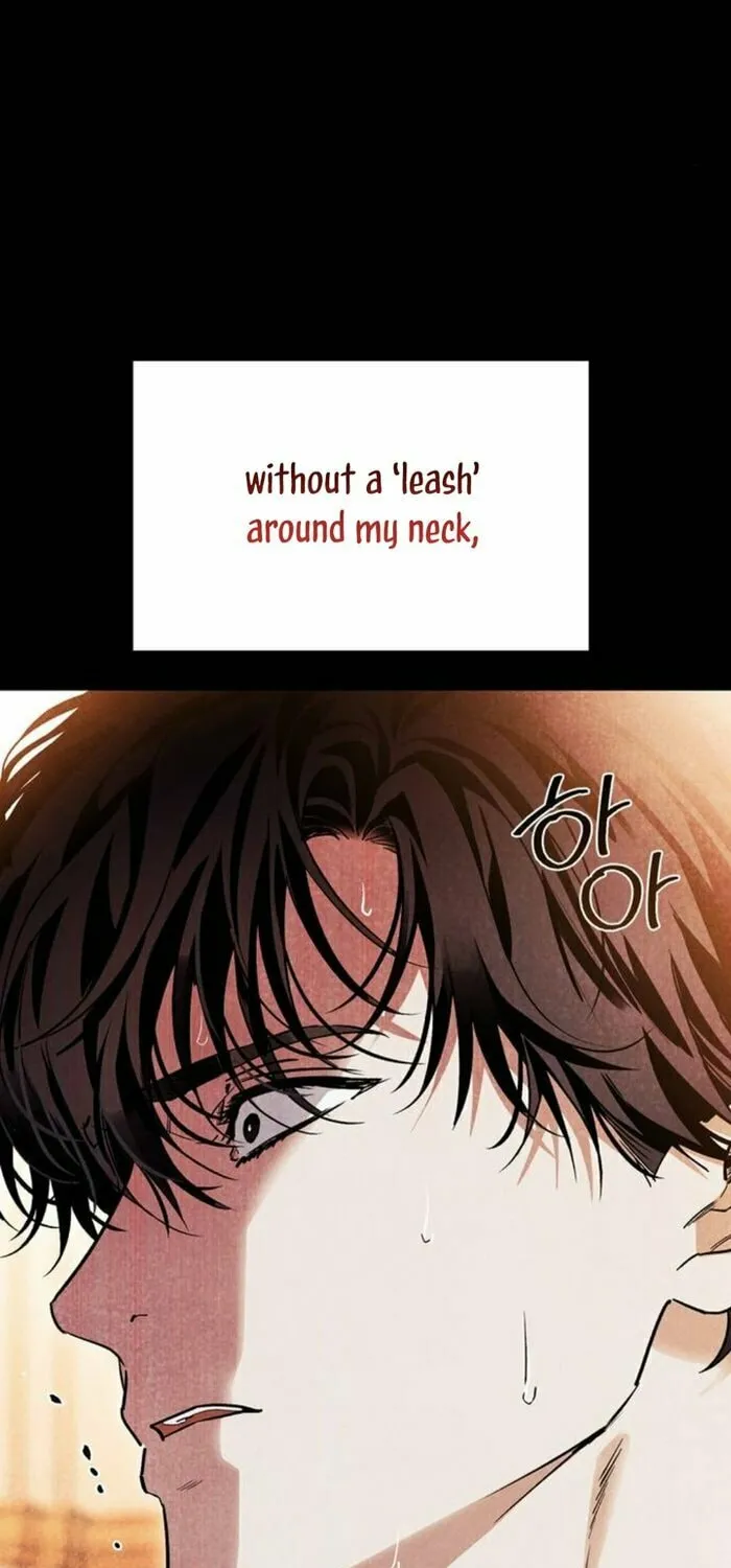 I Tamed My Ex-Husband's Mad Dog Chapter 60 page 61 - 